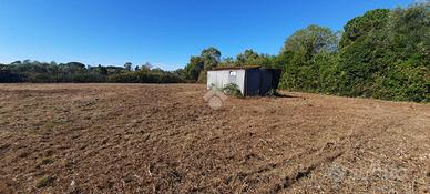 TER. AGRICOLO A LADISPOLI