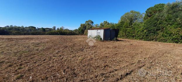 TER. AGRICOLO A LADISPOLI