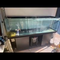 Acquario