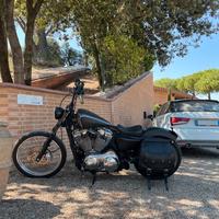 Harley Davidson Sportster XL 1200V Seventy Two