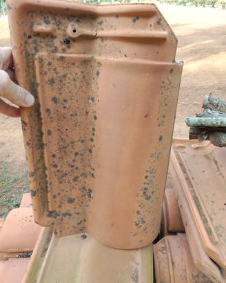 tegole portoghesi e altro 