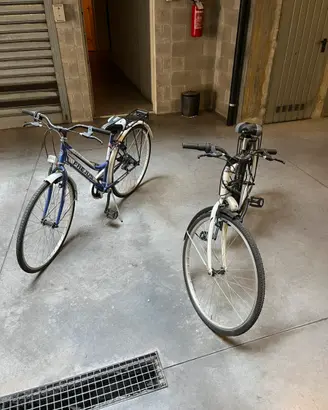 Coppia di bici