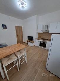 Appartamento ristrutturato