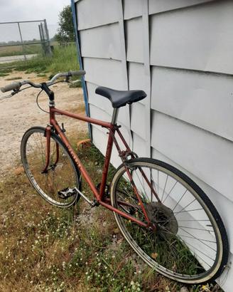 Bicicletta Uomo