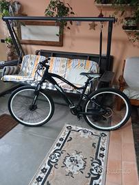Bici elettrica. 