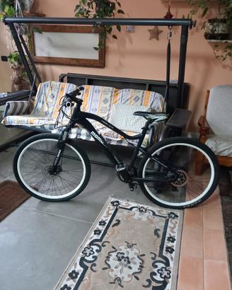 Bici elettrica. 