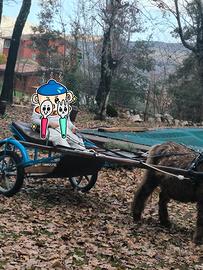 calesse per pony