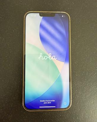 iPhone 13 Pro Max - Batteria 100%