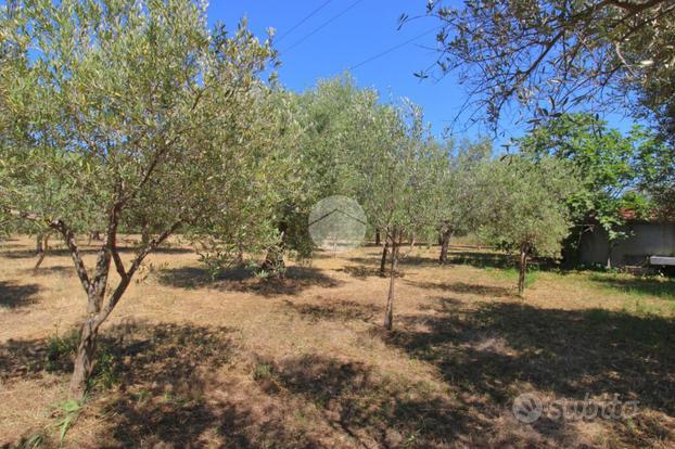 TER. AGRICOLO A ROSETO DEGLI ABRUZZI