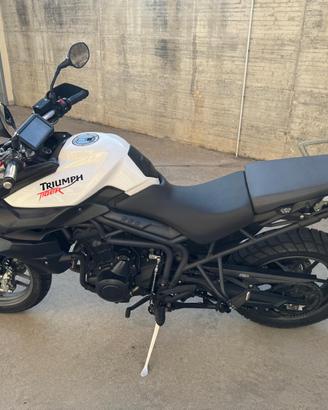 Moto Tiger 800
