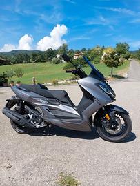 Wottan Motor Storm-S 300 - 2024