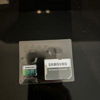 Scheda SD samsung evo 256 gb