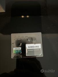 Scheda SD samsung evo 256 gb