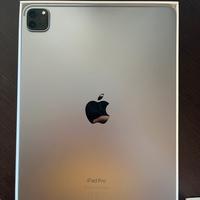 Ipad Pro 11 256GB