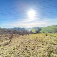 TER. AGRICOLO A PALOMBARA SABINA