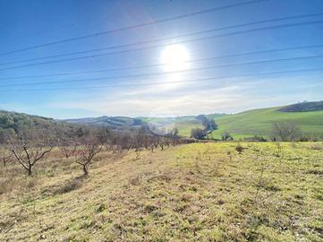 TER. AGRICOLO A PALOMBARA SABINA