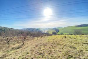 TER. AGRICOLO A PALOMBARA SABINA