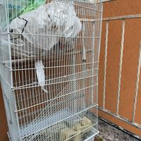 Gabbia per pappagalli