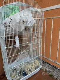 Gabbia per pappagalli