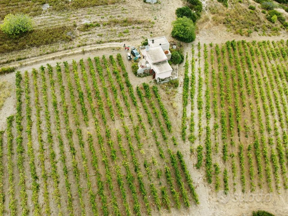 Terreno agricolo con vigneto e fabbricati in vendi - Vista 4