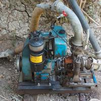 Motopompa carrellata Lombardini  14cv