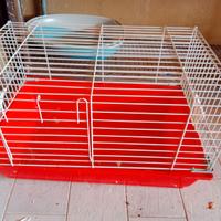 Gabbia per coniglio con accessori vari