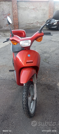 Piaggio free 50
