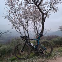 3T Exploro Racemax taglia M/56, ruote in carbonio 