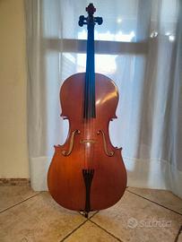 Violoncello reghin 3/4