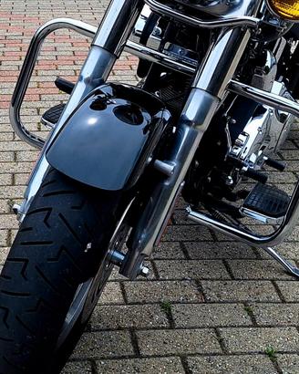 Paramotore Harley Davidson Fat Boy/Softail