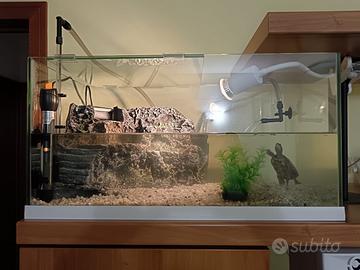 Acquario tartaruga/pesci