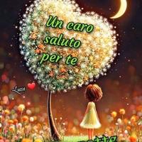 Domestica e tutto fare
