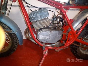 GIULIETTA PERIPOLI 50
