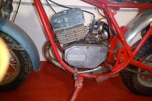GIULIETTA PERIPOLI 50