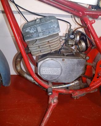GIULIETTA PERIPOLI 50