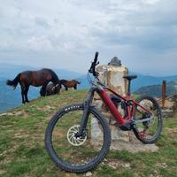 Mondraker Level R
