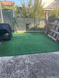 Piccolo bilocale con corte e cantina