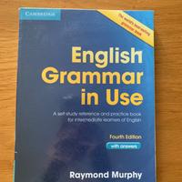 English Grammar in Use