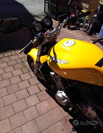 Honda Hornet