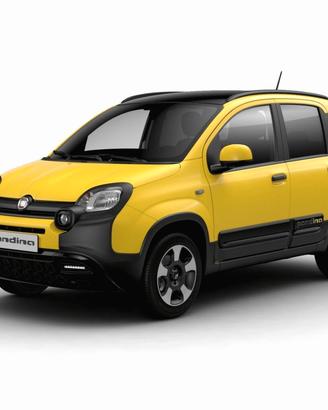FIAT Pandina Pandina 1.0 FireFly 65 CV Hybrid C...