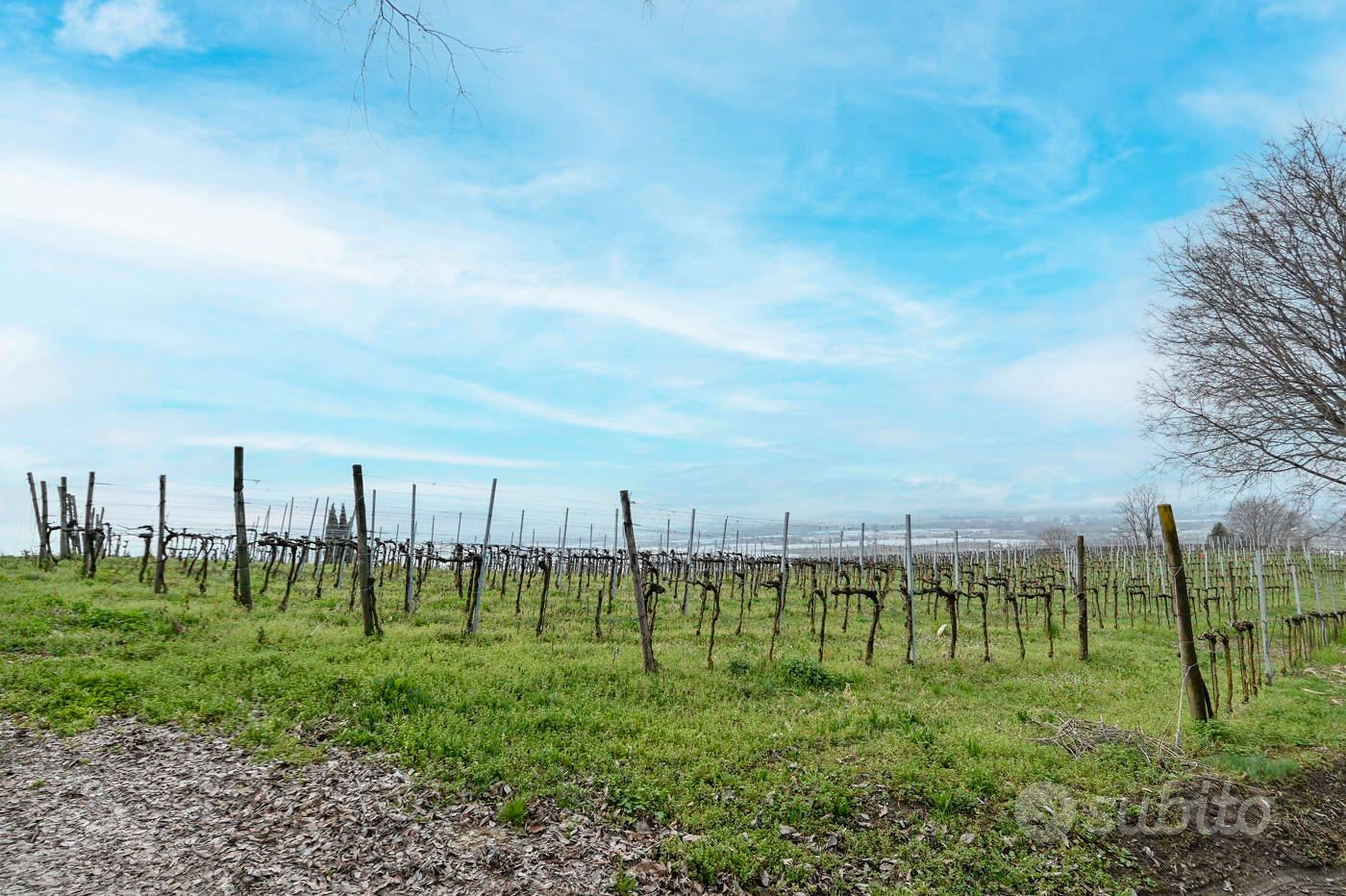 Terreno Agricolo Chiuduno [Cod. rif 3300105VCG] - Vista 2