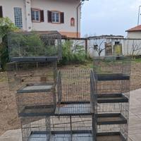 Gabbie per Uccelli Varie Misure