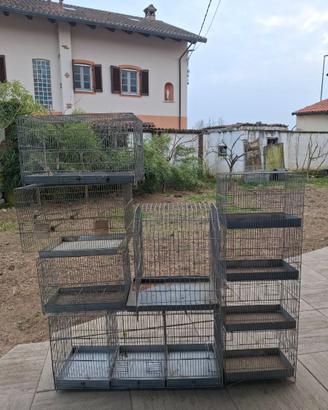 Gabbie per Uccelli Varie Misure