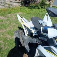 Quad Aeon Altro modello - 2020