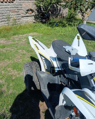 Quad Aeon Altro modello - 2020