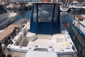 PolyForm Triakis 29 barca a motore