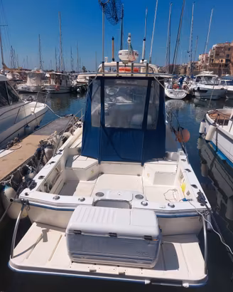 PolyForm Triakis 29 barca a motore