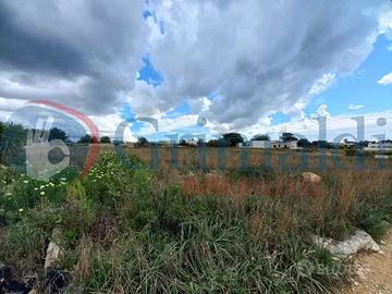 Terreno Agricolo Ugento [15brinnVCG]