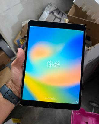 Ipad pro 10.5” 256 GB ( cellulare / Wifi )