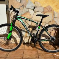 Coppia mountain bike esperia + trasportino